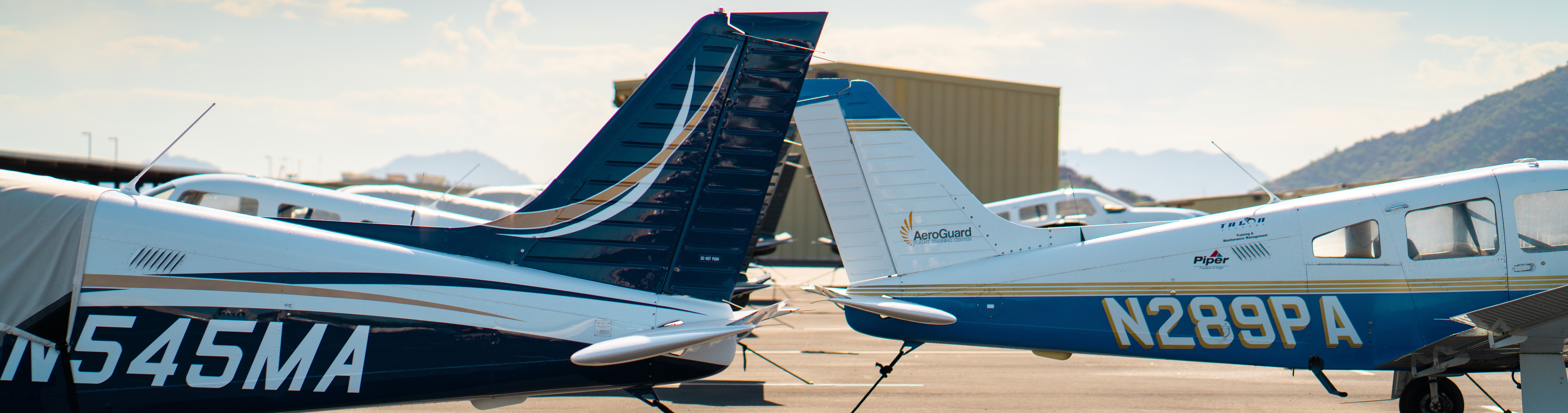 Picture of aircraft tails lined up in a row.